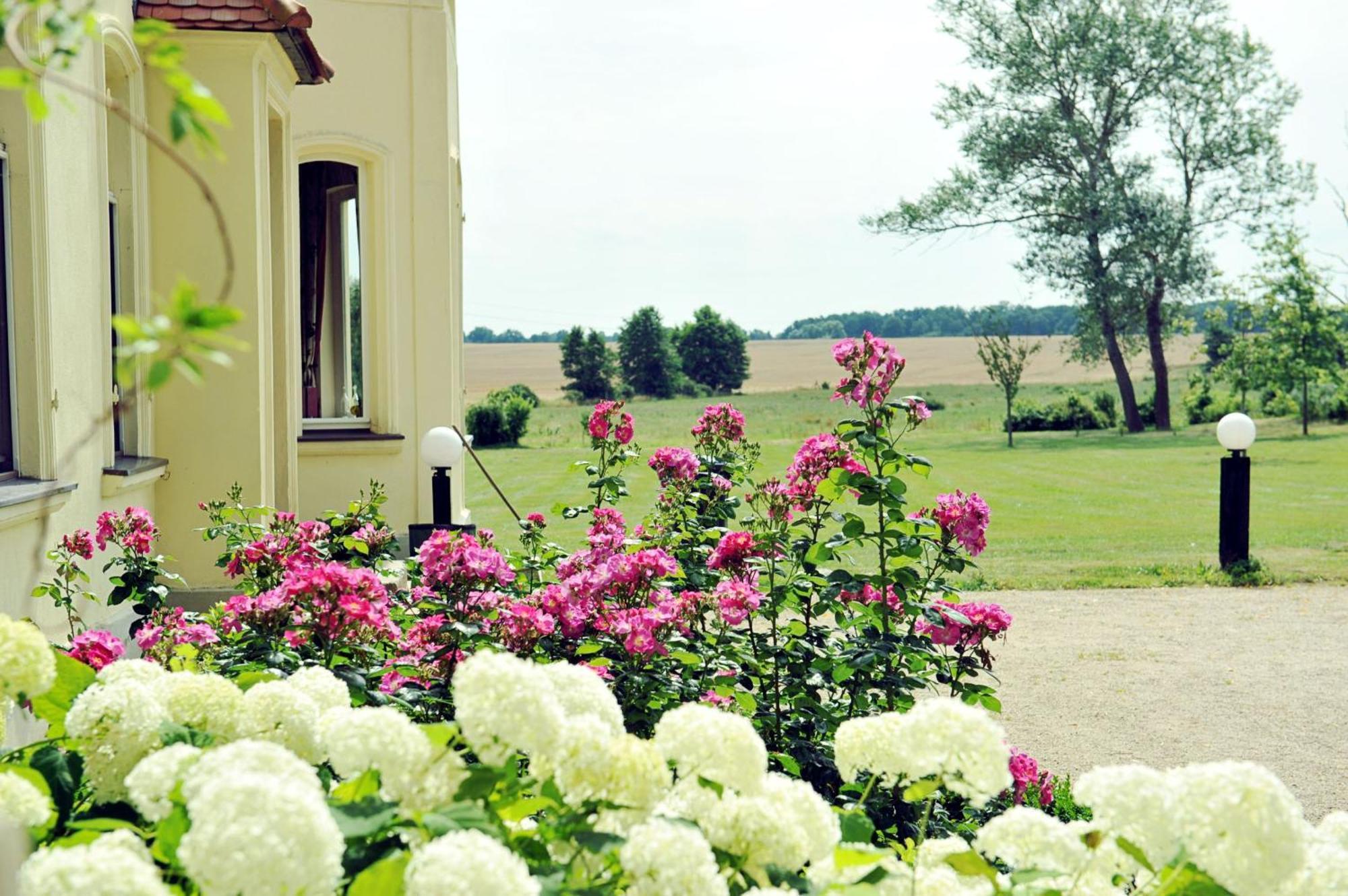 Gutshaus Penzlin Villa Meyenburg  Buitenkant foto